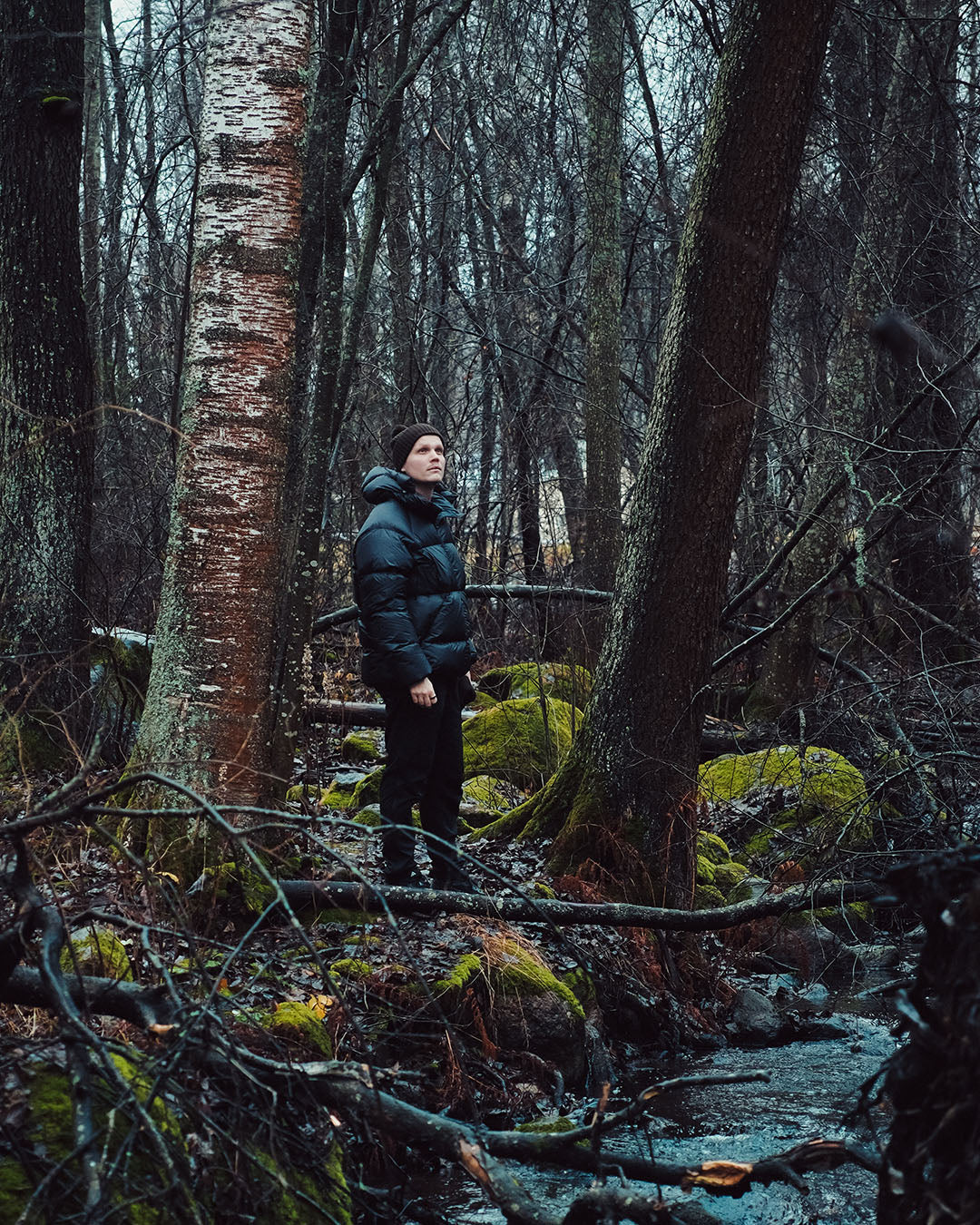 Person standing in a forest with bare trees and a stream